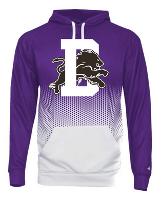 Dryden Football 2023 Badger Hex Hoodie