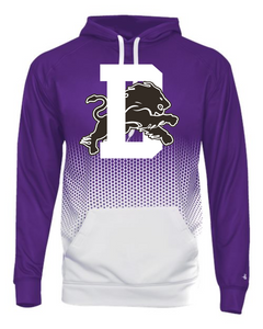 Dryden Football 2023 Badger Hex Hoodie